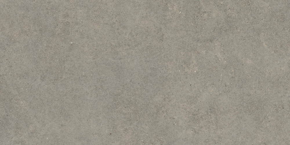 Керамогранит Atlas Concorde Russia 610010005813 Forte dei Marmi Rock Lunar Grey Matt Rett 80x160