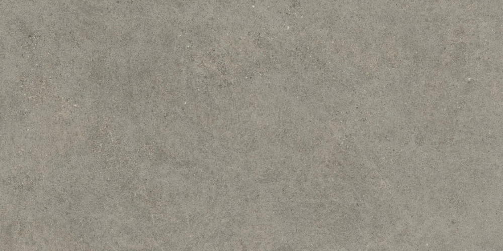 Керамогранит Atlas Concorde Russia 610010005813 Forte dei Marmi Rock Lunar Grey Matt Rett 80x160