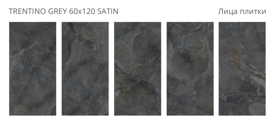 Trentino Grey Satin 60x120 — фото 2