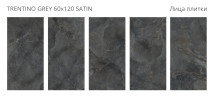 Trentino Grey Satin 60x120 — фото 2