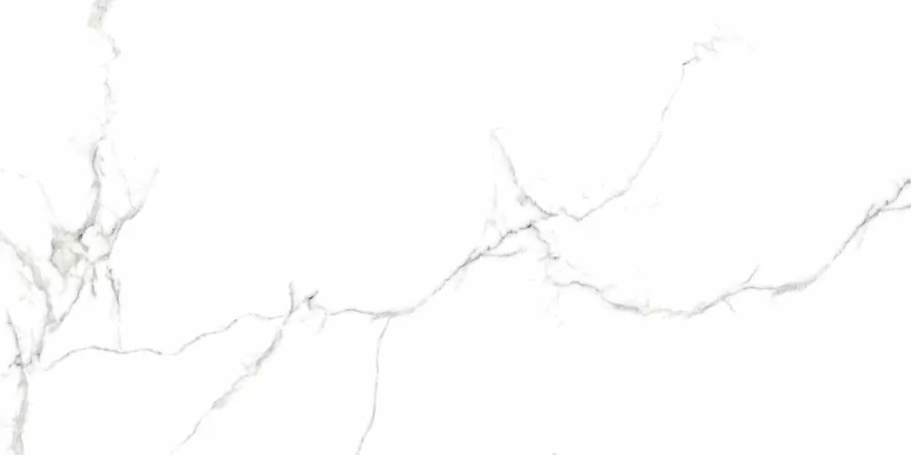 Керамогранит Eurotile Capitol Glossy 60x120