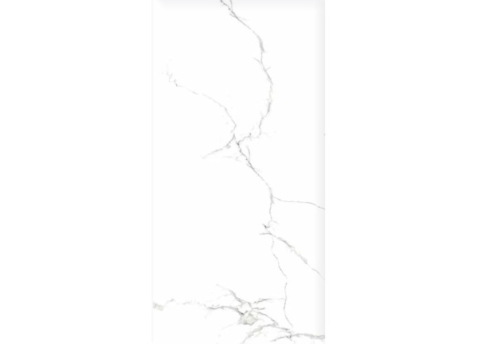 Керамогранит Eurotile Capitol Glossy 60x120