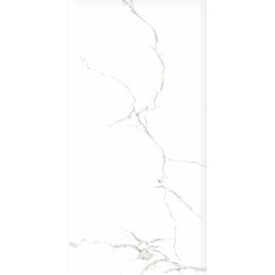 Керамогранит Eurotile Capitol Glossy 60x120