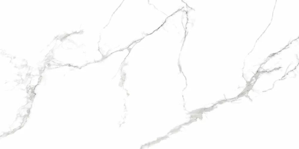 Керамогранит Eurotile Capitol Glossy 60x120