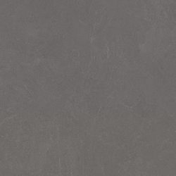 Керамогранит Ceradim х9999304517 Stone Notable Ash Темно-серый Матовый 60х120
