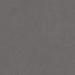 Керамогранит Ceradim х9999304517 Stone Notable Ash Темно-серый Матовый 60х120