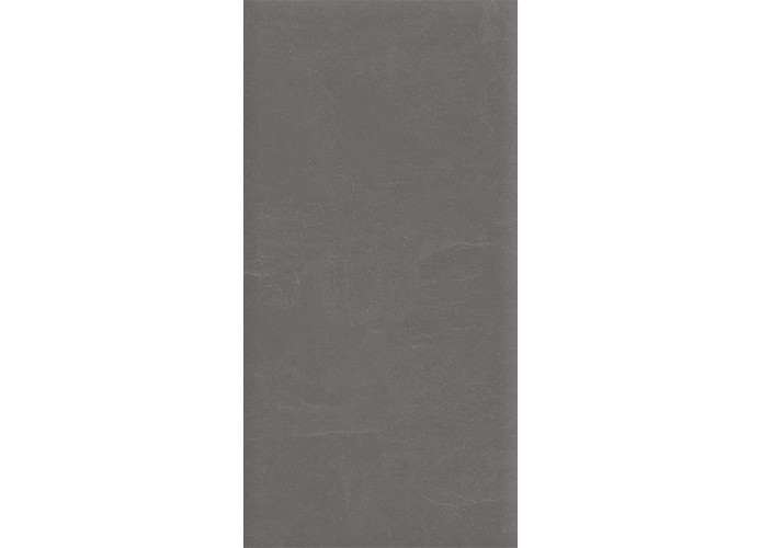 Керамогранит Ceradim х9999304517 Stone Notable Ash Темно-серый Матовый 60х120