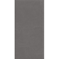 Керамогранит Ceradim х9999304517 Stone Notable Ash Темно-серый Матовый 60х120