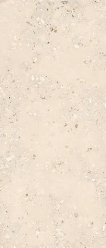 Керамогранитa Sant Agostino CSACOLI227 Extra Logico Cosmo Light Nat 120x278