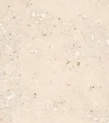 Керамогранитa Sant Agostino CSACOLI227 Extra Logico Cosmo Light Nat 120x278