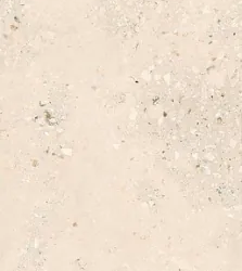 Керамогранитa Sant Agostino CSACOLI227 Extra Logico Cosmo Light Nat 120x278