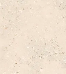 Керамогранитa Sant Agostino CSACOLI227 Extra Logico Cosmo Light Nat 120x278