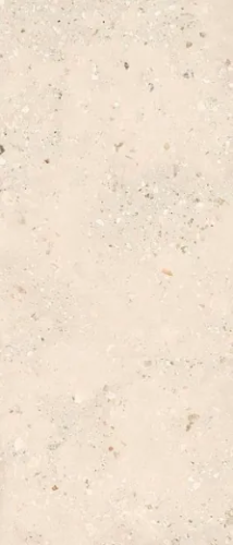 Керамогранитa Sant Agostino CSACOLI227 Extra Logico Cosmo Light Nat 120x278