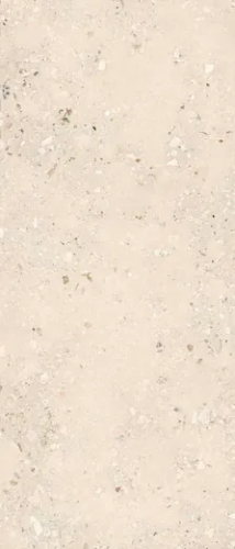 Керамогранитa Sant Agostino CSACOLI227 Extra Logico Cosmo Light Nat 120x278