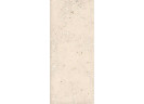Керамогранитa Sant Agostino CSACOLI227 Extra Logico Cosmo Light Nat 120x278