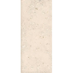 Керамогранитa Sant Agostino CSACOLI227 Extra Logico Cosmo Light Nat 120x278