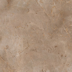 Керамогранит Primavera Empressa Brown CR109 60x60