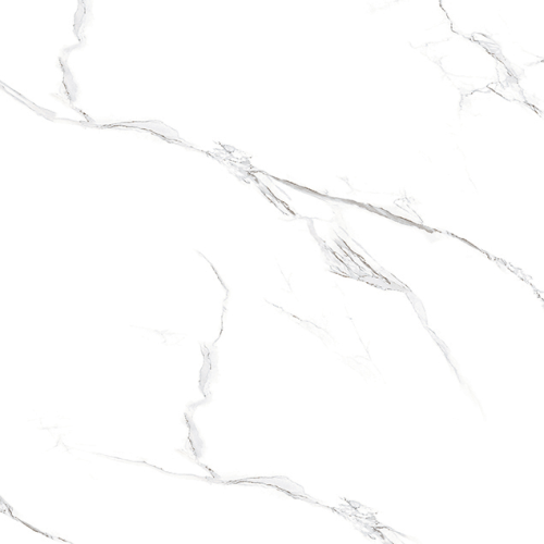 Керамогранит Primavera Атаго TP66M28 60x60