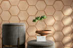 Керамогранит Monopole Avant Sacramento Marron Pino 22x25
