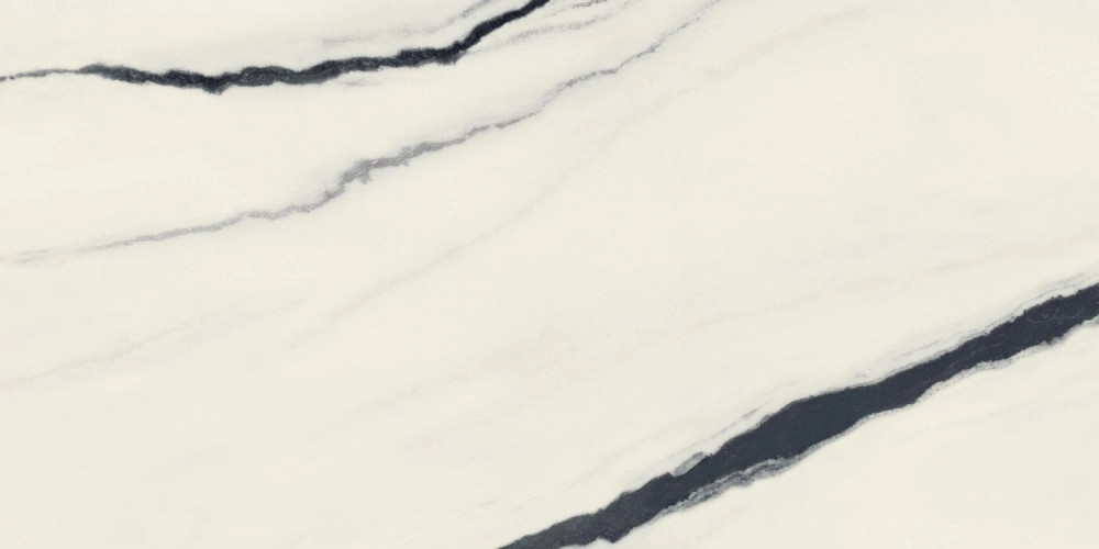 Керамогранит Atlas Concorde Russia 610015000656 Forte dei Marmi Panda White Rett Cer 60x120