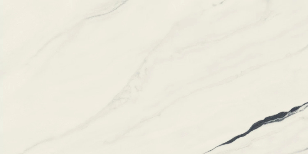 Керамогранит Atlas Concorde Russia 610015000656 Forte dei Marmi Panda White Rett Cer 60x120