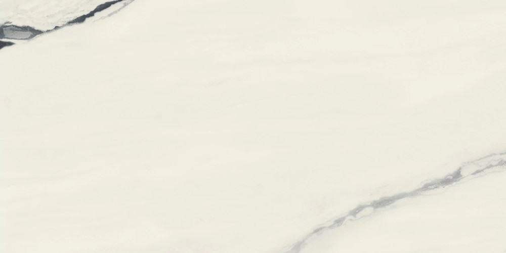 Керамогранит Atlas Concorde Russia 610015000656 Forte dei Marmi Panda White Rett Cer 60x120