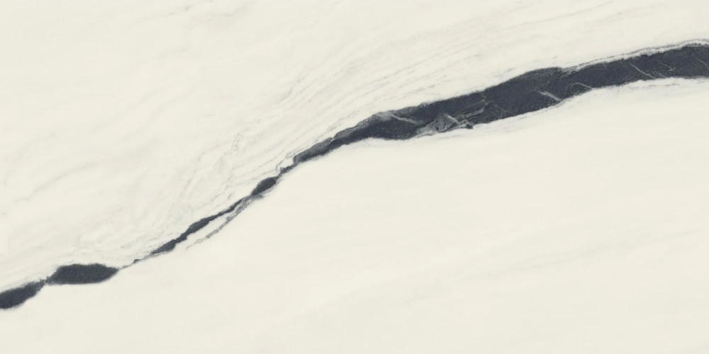 Керамогранит Atlas Concorde Russia 610015000656 Forte dei Marmi Panda White Rett Cer 60x120