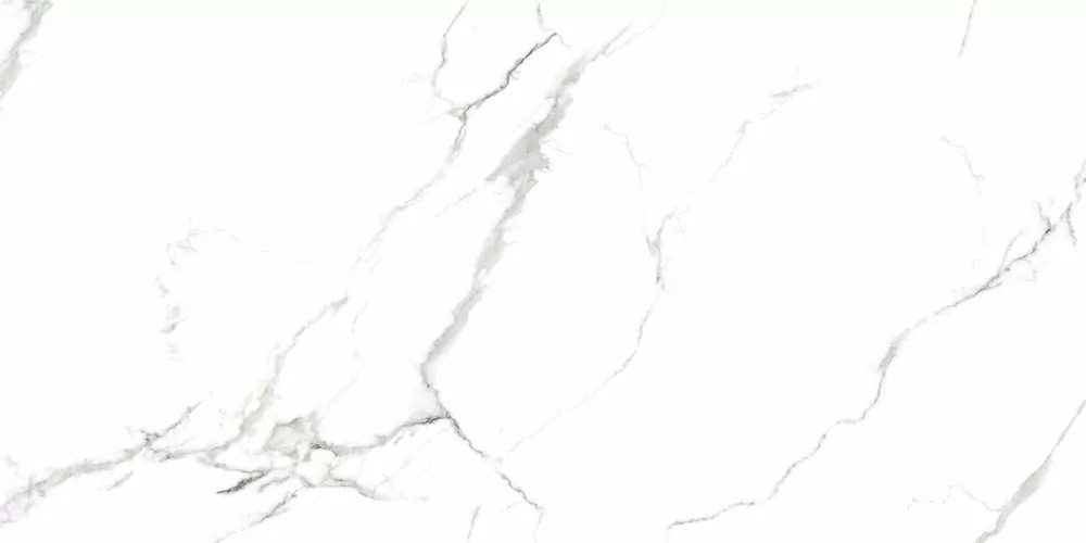 Керамогранит Eurotile Capitol Matt 60x120