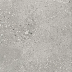 Керамогранит Ceradim х9999299430 Harley Серый матовый 50х50