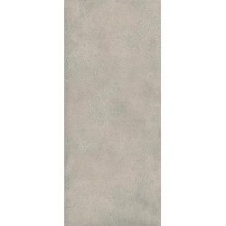 Керамогранитa Sant Agostino CSALOCE227 Extra Logico Cement Nat 120x278