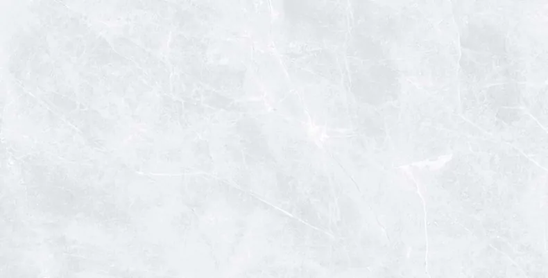 Керамогранит Prissmacer Isea Pearl 60x120