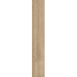 Керамогранит Atlas Concorde Russia 610010003138 Fusion Oak/Фьюжн Оак Нэчурал 20x120 Грип