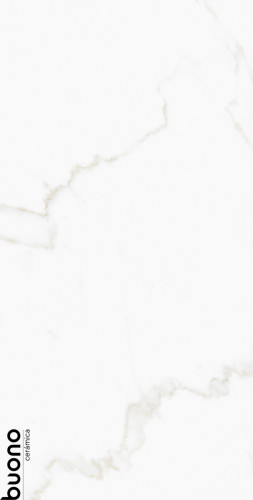 Керамогранит Buono Ceramica M4408P Omega Exotica Glossy 60x120