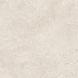 Керамогранит Neodom N12051 Stone Eden Light Matt 120x120