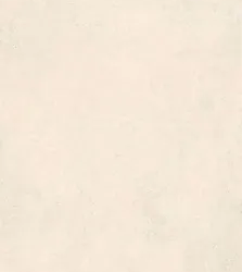 Керамогранитa Sant Agostino CSALOLI227 Extra Logico Light Nat 120x278