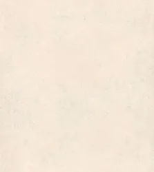 Керамогранитa Sant Agostino CSALOLI227 Extra Logico Light Nat 120x278