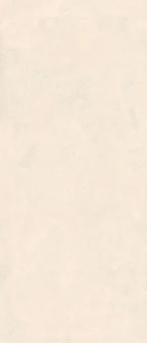 Керамогранитa Sant Agostino CSALOLI227 Extra Logico Light Nat 120x278