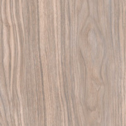 Керамогранит Primavera Forest Gold terra WD11 20x80