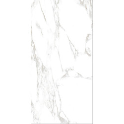 Керамогранит Gresse GRS01-19 Ellora Lotus 60x120