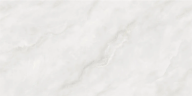 Керамогранит NT Ceramic NTT9459P Onyx Light Smoke 60x120