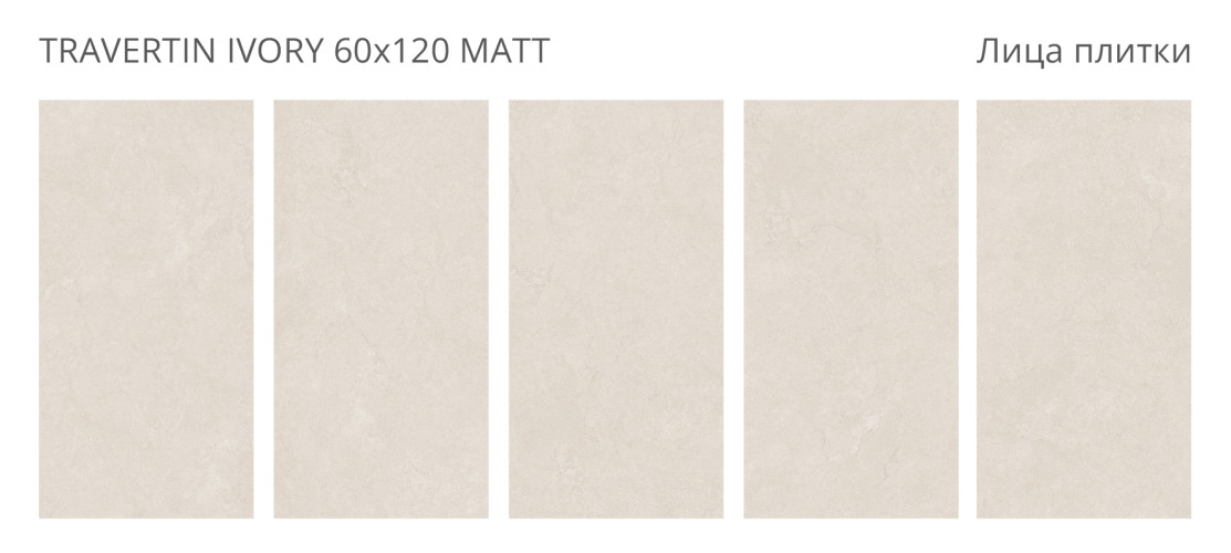 Travertin Ivory Matt 60x120 — фото 2