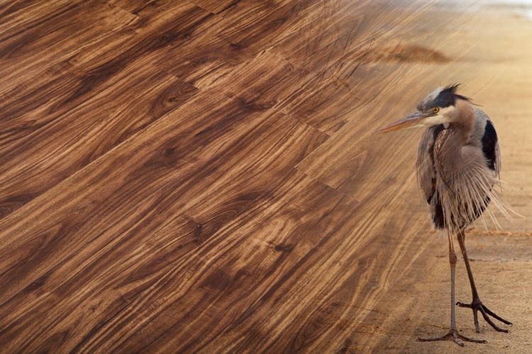 SPC Ламинат StoneWood Орех Франэ (Fragnee) C-001-12