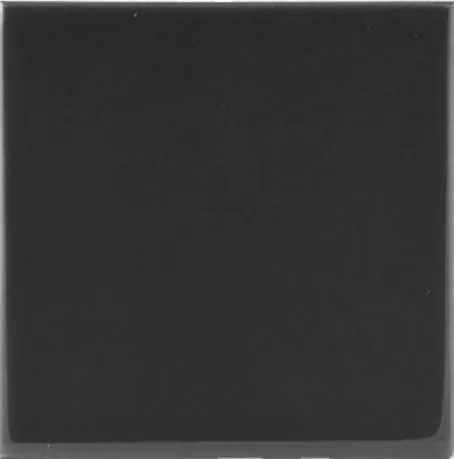 Мозаика NSmosaic FK-106A керамика 100х100, матовая