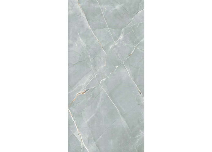 Керамогранит Royce William Grey Polished R_PR2019 60x120