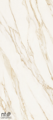 Керамогранит NT Ceramic NTT3501L Arabesco Gold 120x270