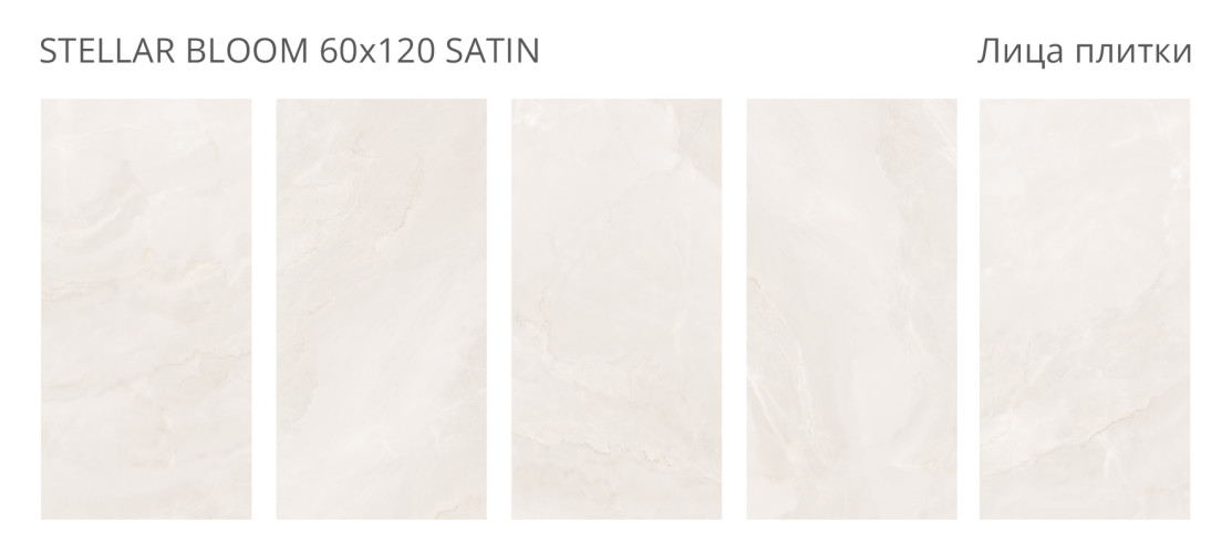 Stellar Bloom Satin 60x120 — фото 2