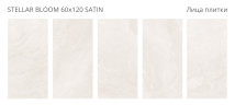 Stellar Bloom Satin 60x120 — фото 2