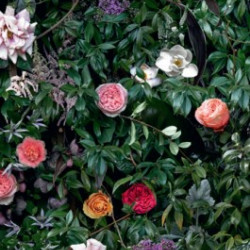 Керамогранит 41ZERO42 4100993 William 60x120