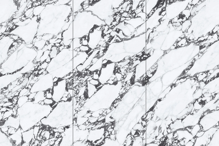 Керамогранит NT Ceramic NTT3013P Tantai Jin Demon 120x240