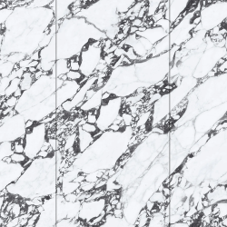 Керамогранит NT Ceramic NTT3013P Tantai Jin Demon 120x240